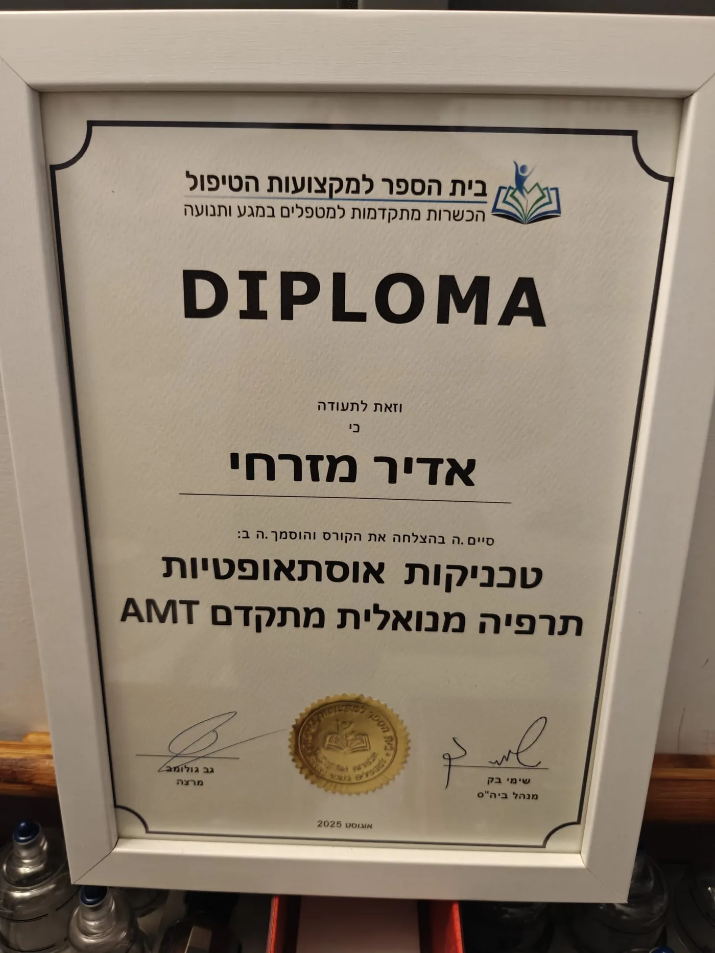 דיפלומה — טכניקות אוסטאופתיות תרפיה מנואלית מתקדם AMT, בית הספר למקצועות הטיפול, אדיר מזרחי